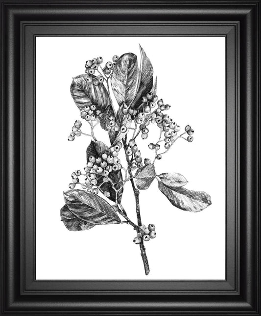 22x26 Hawthorn Berry Branch II By Emma Scarvey - Black Classy Art