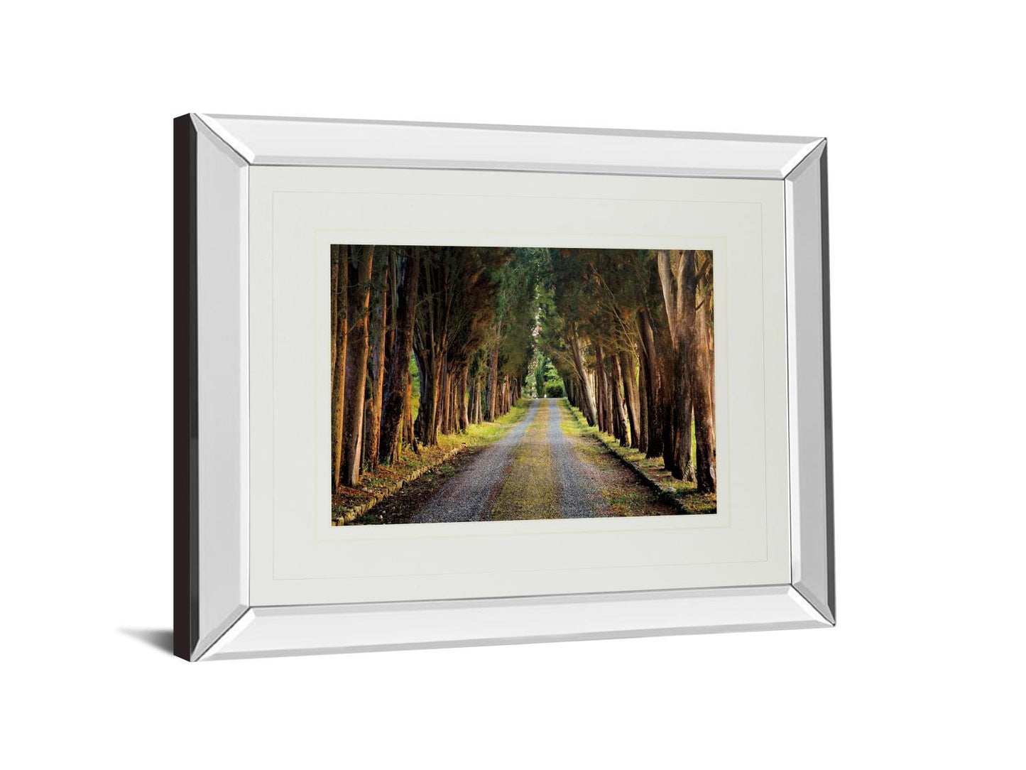 Tree Tunnel By Michael Tunnel And Mossy Oak Native Living - Mirror Framed Print Wall Art - Green Classy Art