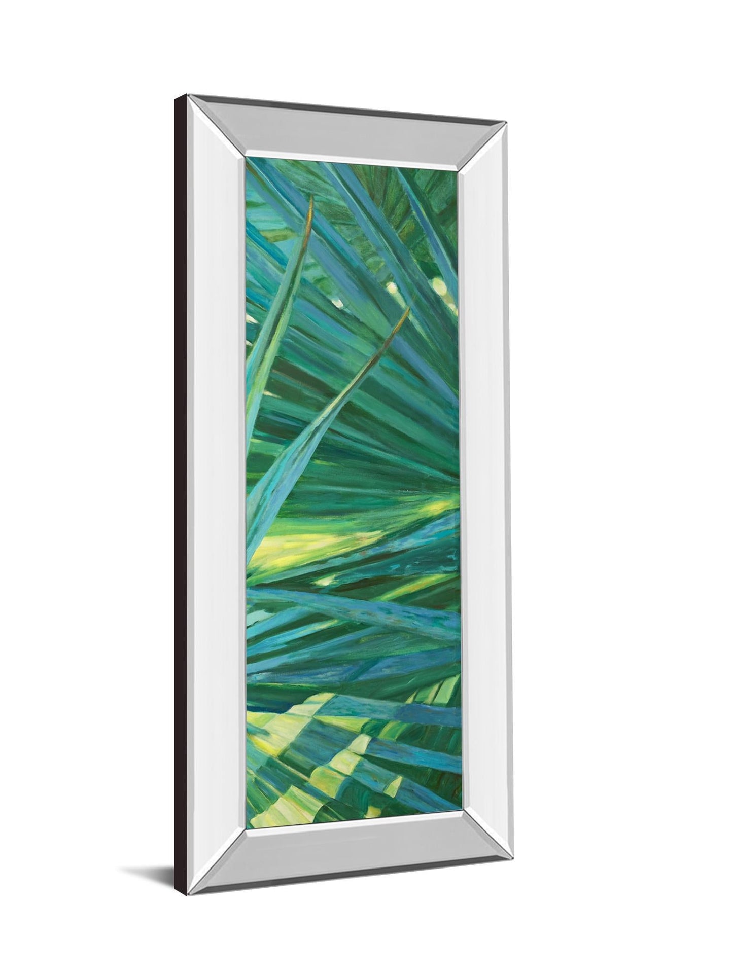 Fan Palm II By Suzanne Wilkins - Mirror Framed Print Wall Art - Green Classy Art