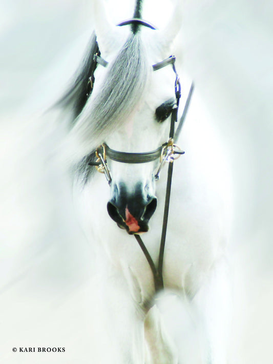 Dream Horse By Kari Brooks - Pearl Silver Classy Art