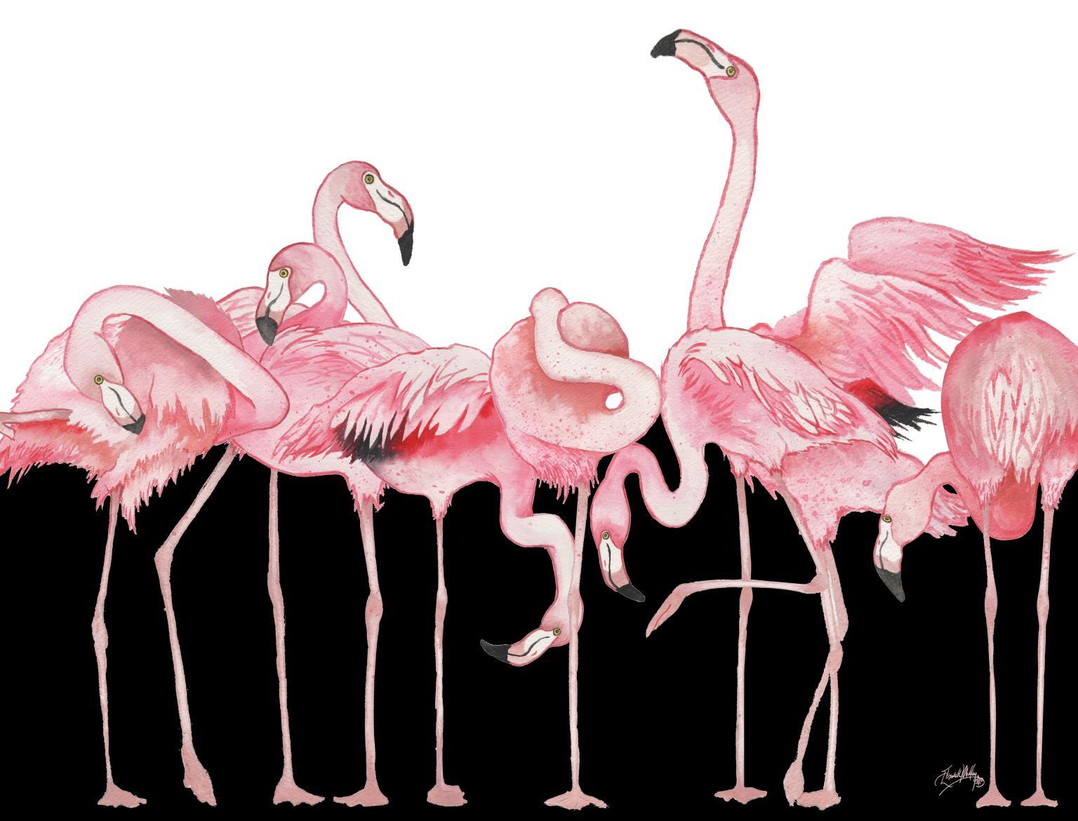 Black And White Meets Flamingos By Elizabeth Medley (Small) - Pink Classy Art