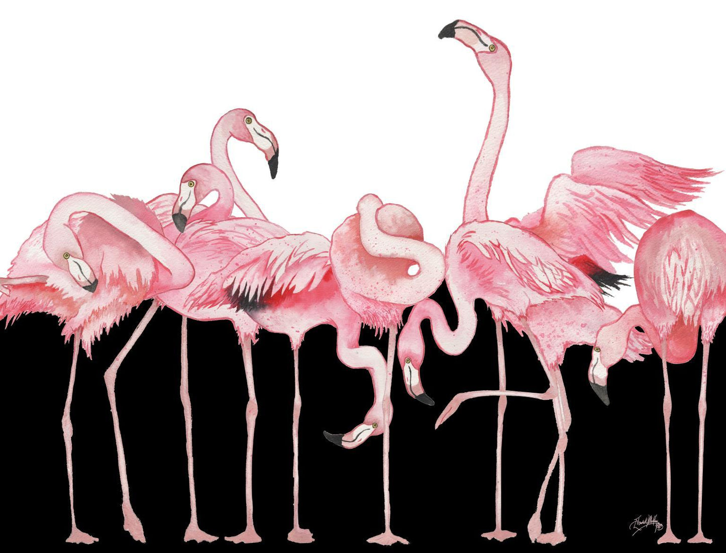 Black And White Meets Flamingos By Elizabeth Medley (Framed) - Pink Classy Art