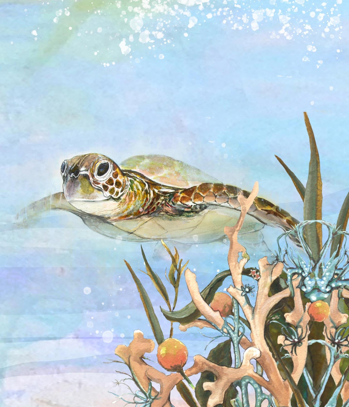 Turtle By The Reef II By Diannart - Light Blue Classy Art