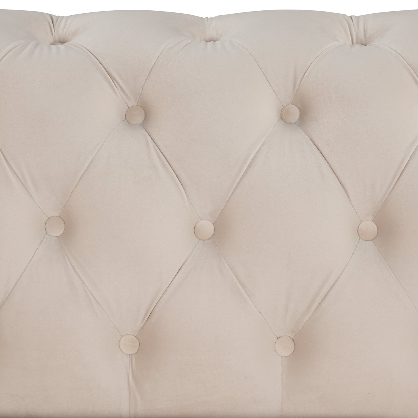 41.5" Velvet Tufted Upholstered Accent Sofa,Modern Single Sofa Chair with Thick Removable Seat Cushion,Modern Single Couch for Living Room,Bedroom,or Small Space,Beige House to Home Furnishings LLC