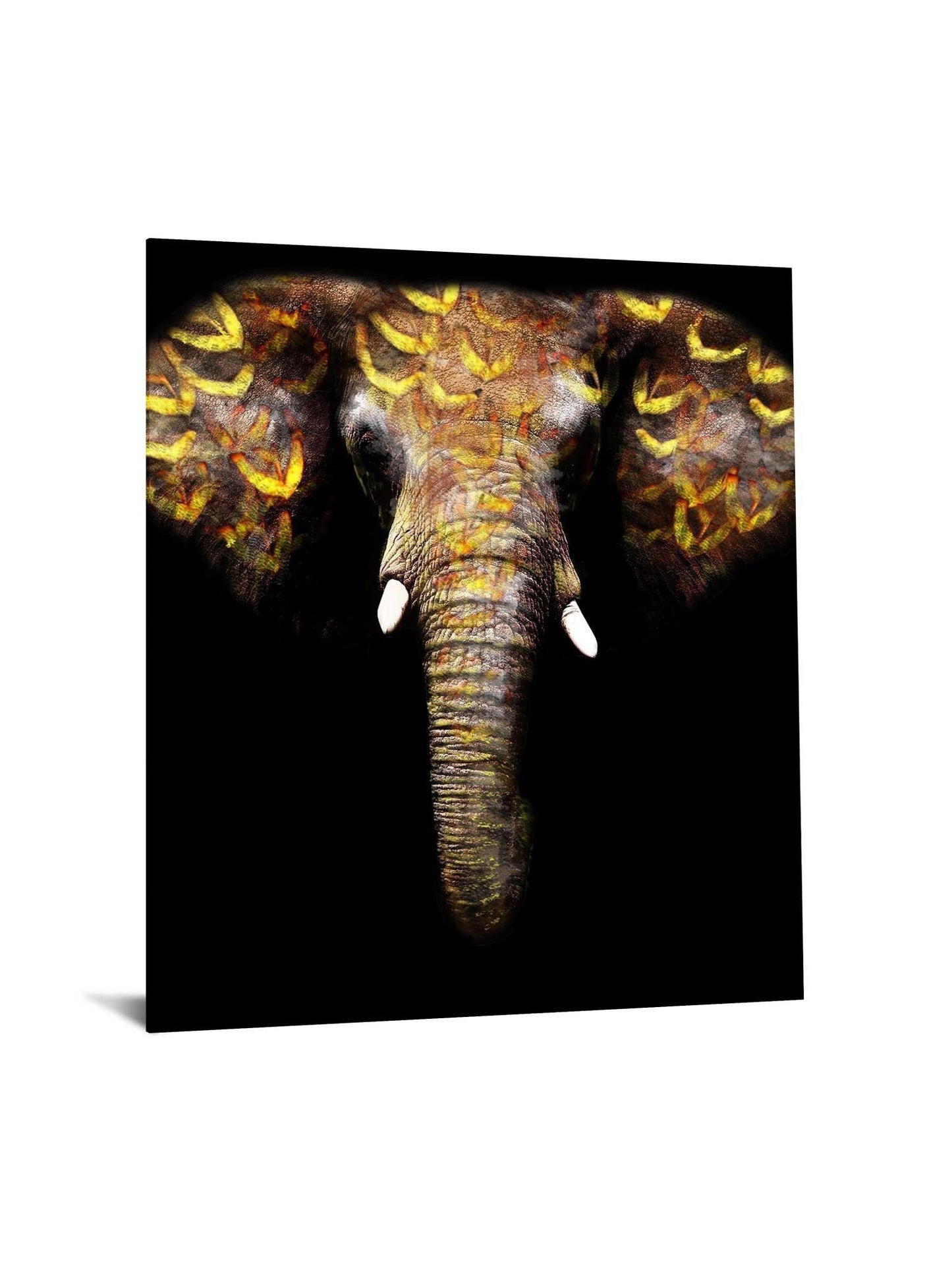 Floating Tempered Glass With Foil Elephant - Dark Gray Classy Art