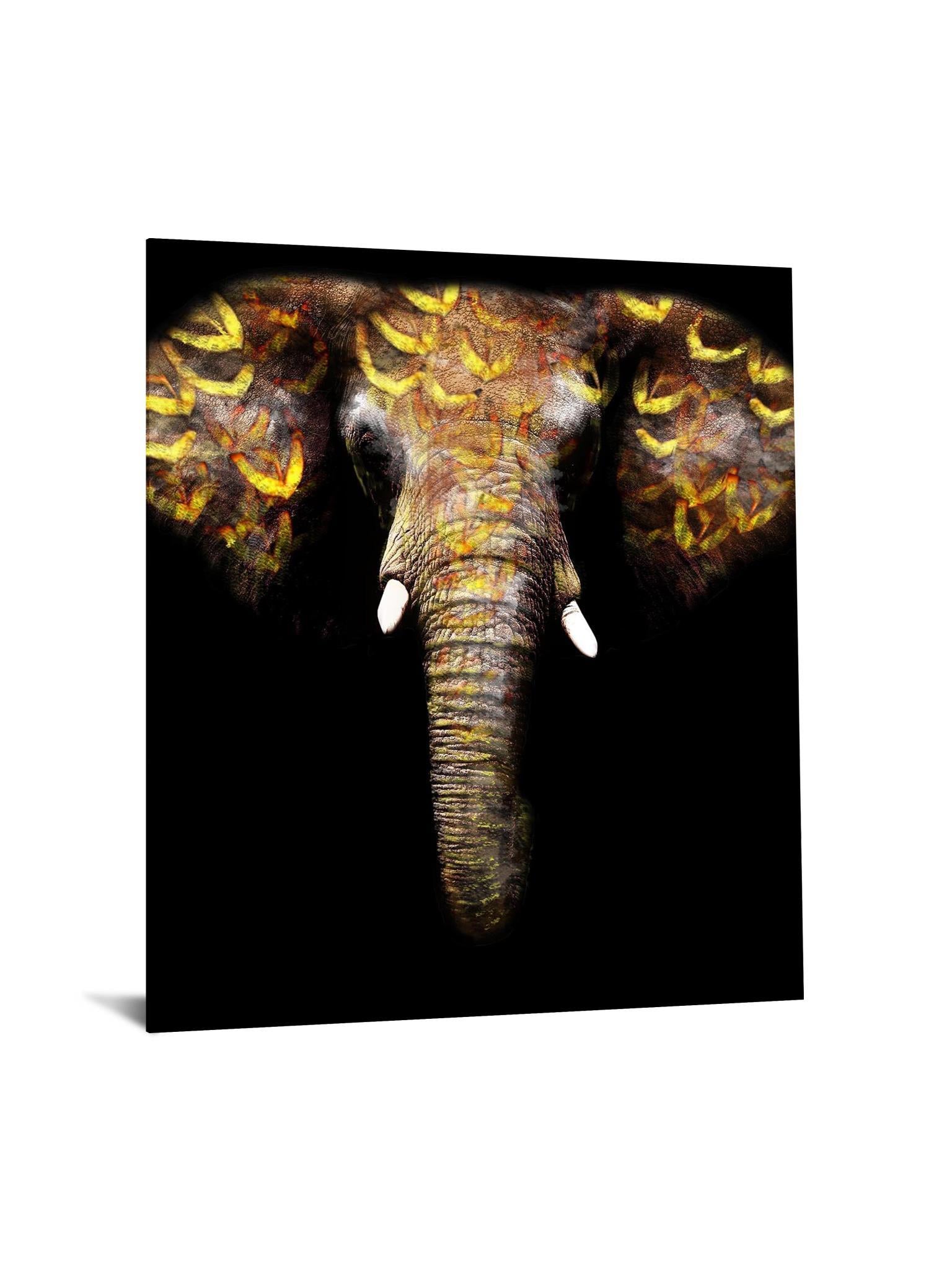 Floating Tempered Glass With Foil Elephant - Dark Gray Classy Art