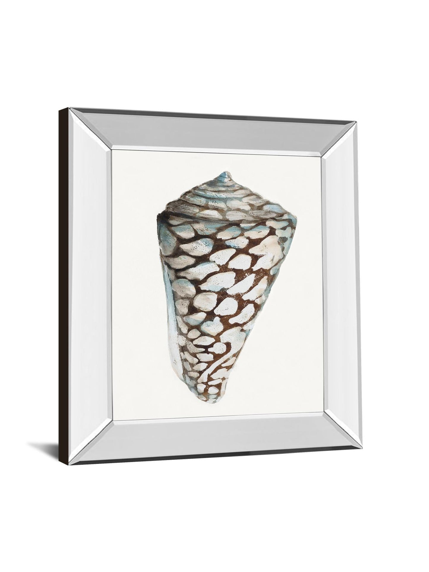 Modern Shell With Teal Il By Patricia Pinto - Mirror Framed Print Wall Art - White Classy Art