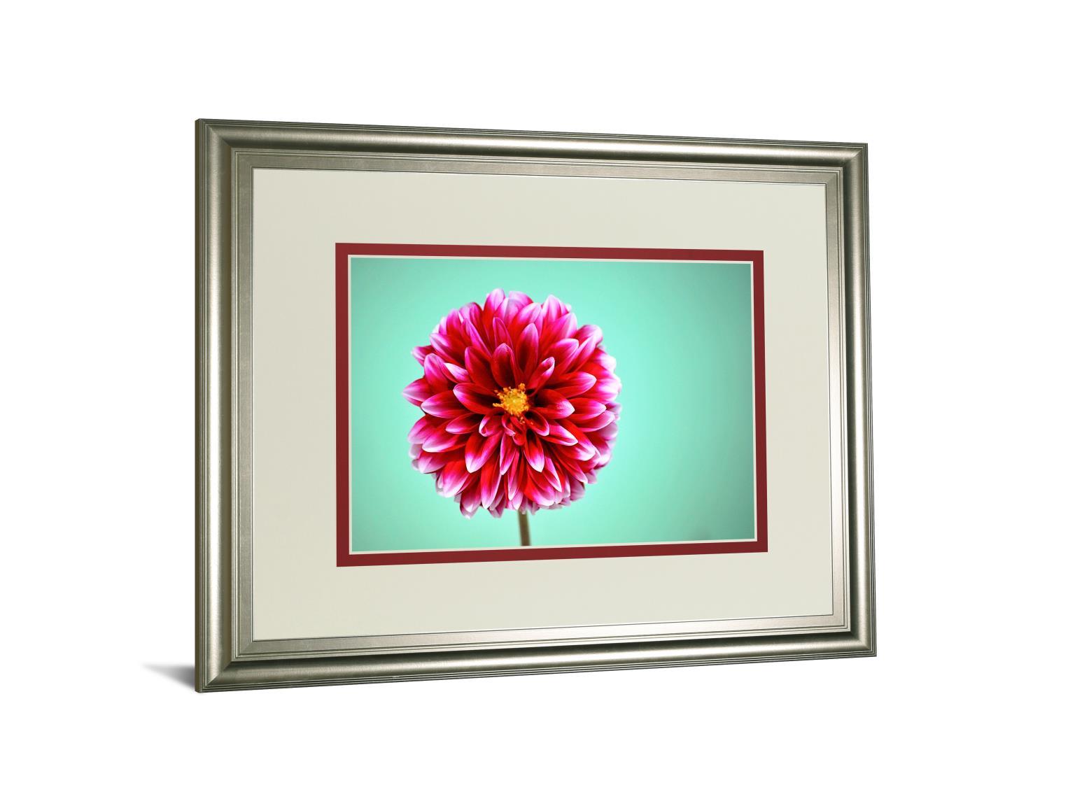 Zenia By Gail Peck - Framed Print Wall Art - Pink Classy Art