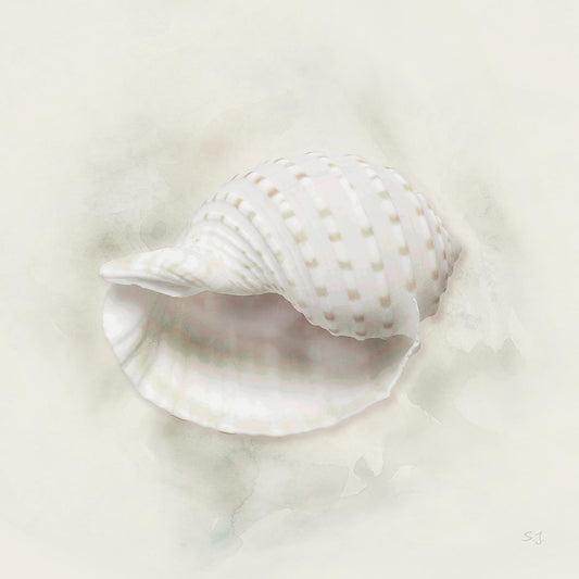 Soft Sand And Shell Iv By Susan Jill - Beige Classy Art