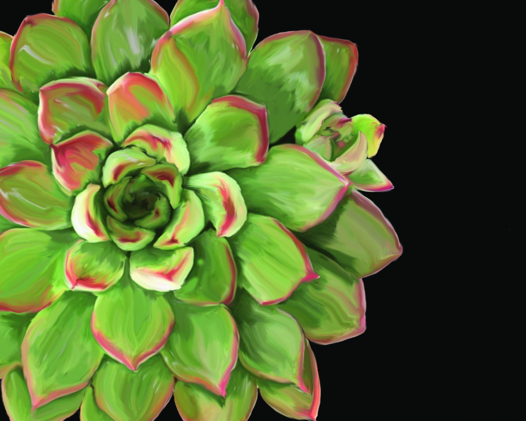 Succulent Elegans II By Jg Studios - Green Classy Art