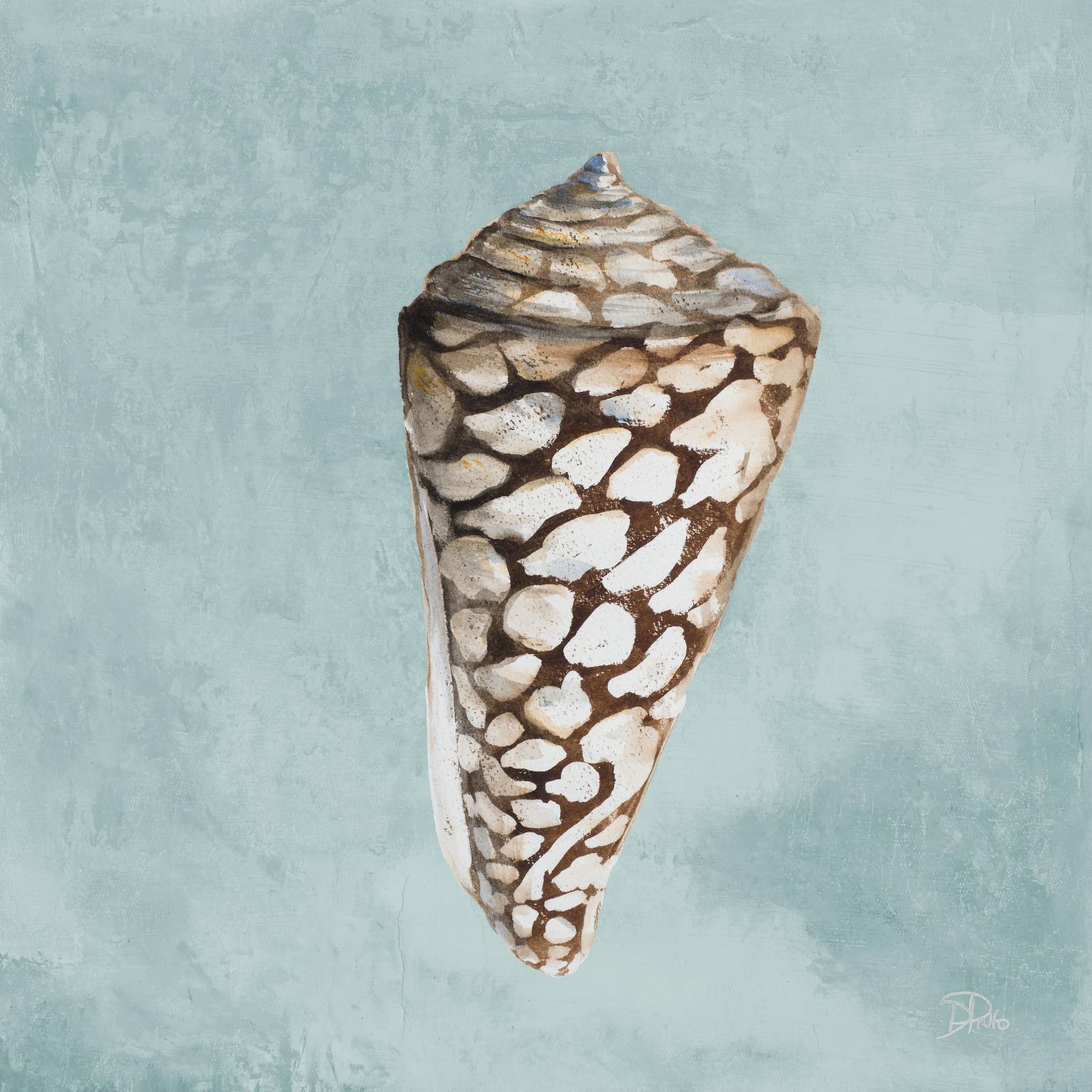 Modern Shell On Teal II By Patricia Pinto - Light Blue Classy Art