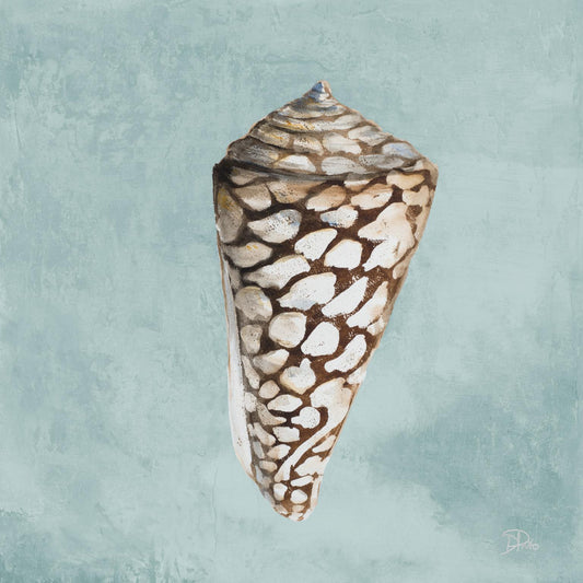 Framed - Modern Shell On Teal II By Patricia Pinto - Blue Classy Art