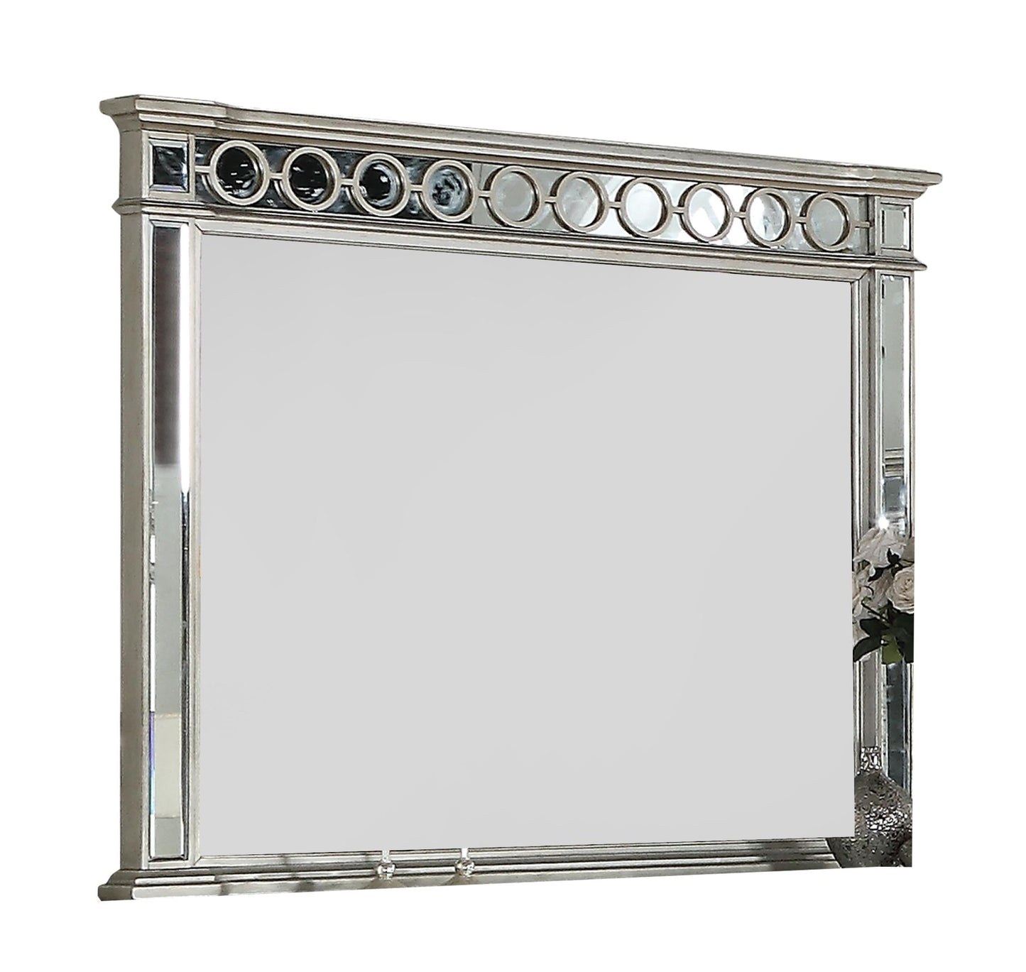 Brooklyn Contemporary Style Mirror in Silver finish Wood Cosmos Furniture