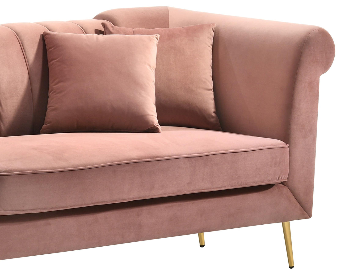 Lexington Transitional Style Coral Loveseat with Gold Finish Cosmos Furniture