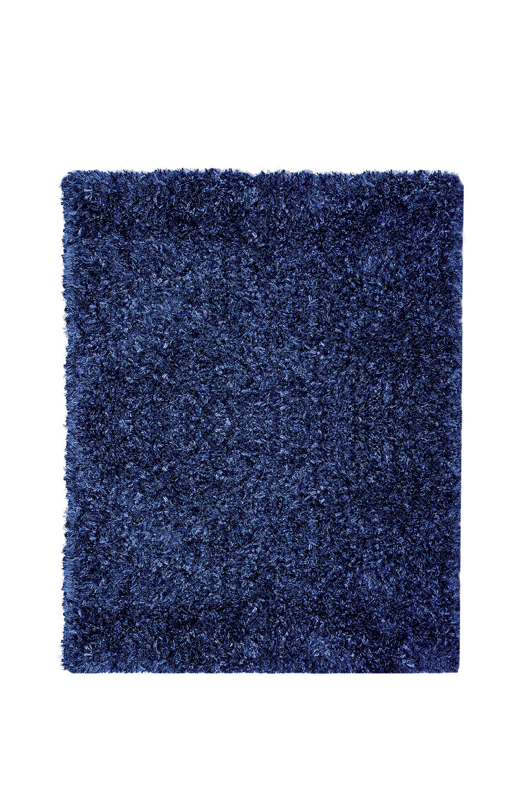 Annmarie Navy 5' X 8' Area Rug FOA East