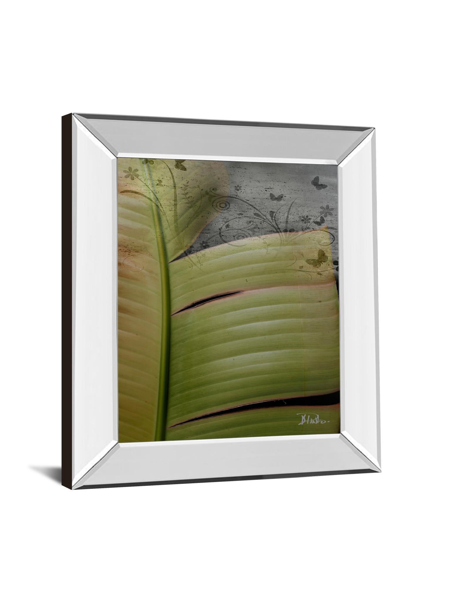 Butterfly Palm Il By Patricia Pinto - Mirror Framed Print Wall Art - Green Classy Art