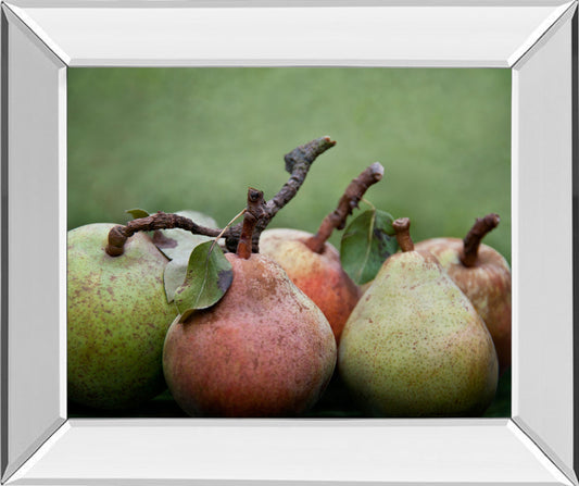 Comice Pear I By Rachel Perry - Mirror Framed Print Wall Art - Green Classy Art