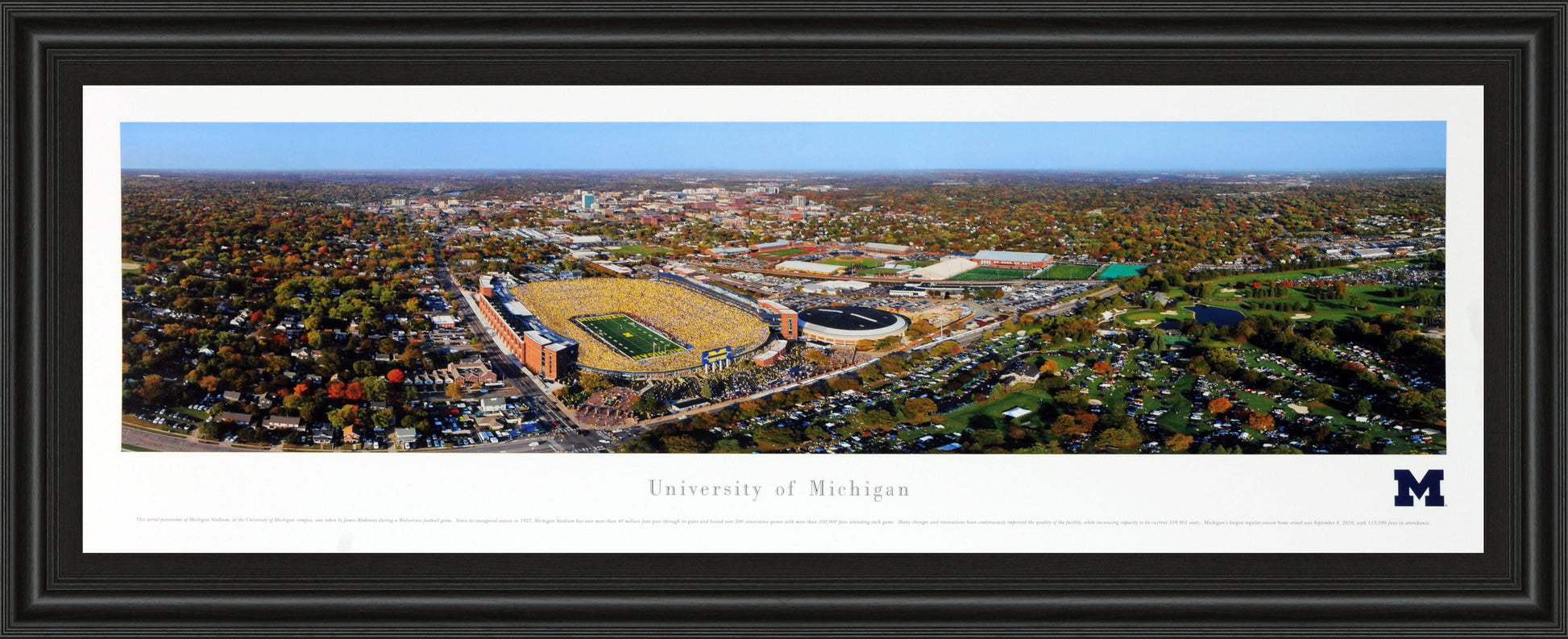 University Of Michigan #3 (Aerial) - Black Classy Art