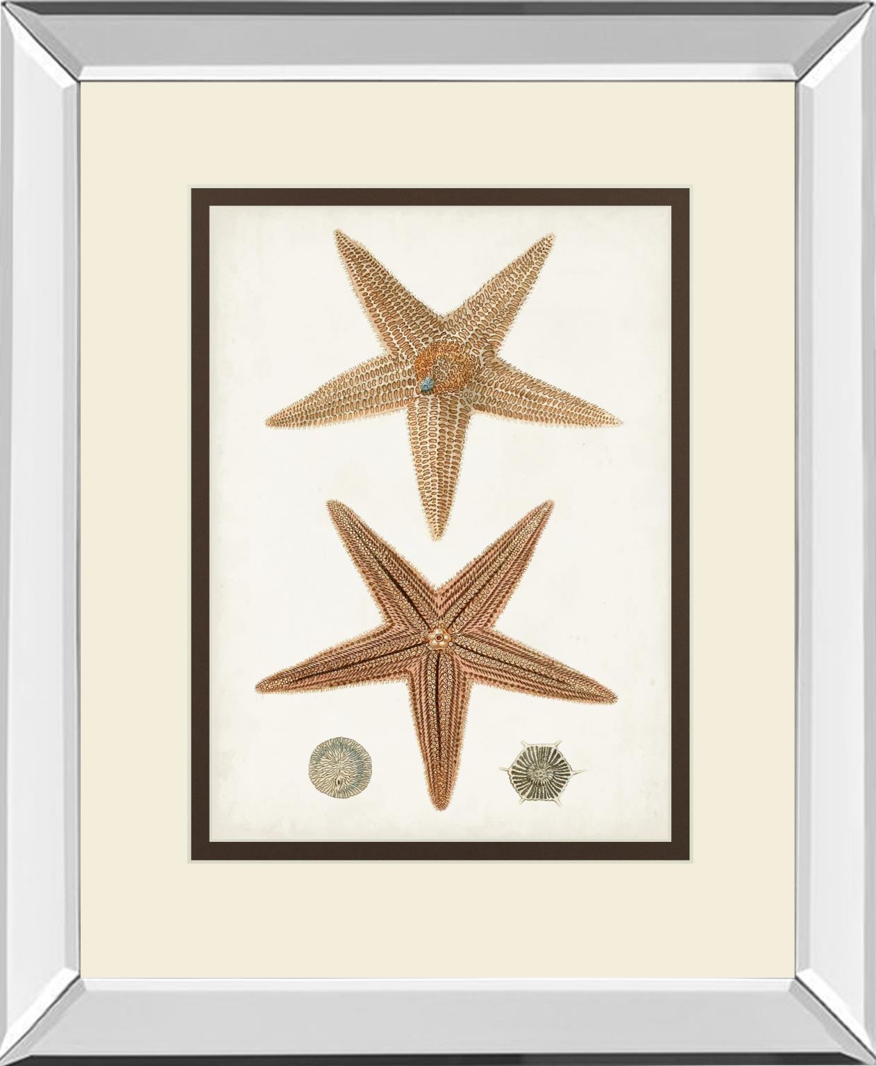 Coastal Curiosity I By Unknown - Light Brown Classy Art