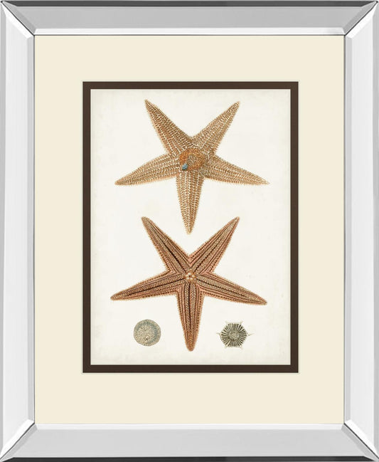 Coastal Curiosity I By Unknown - Light Brown Classy Art