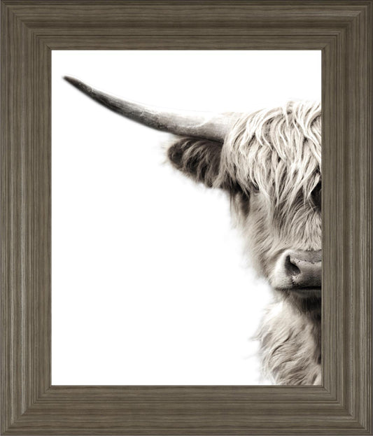 22x26 Highland Cattle By Danita Delimont - Dark Gray Classy Art