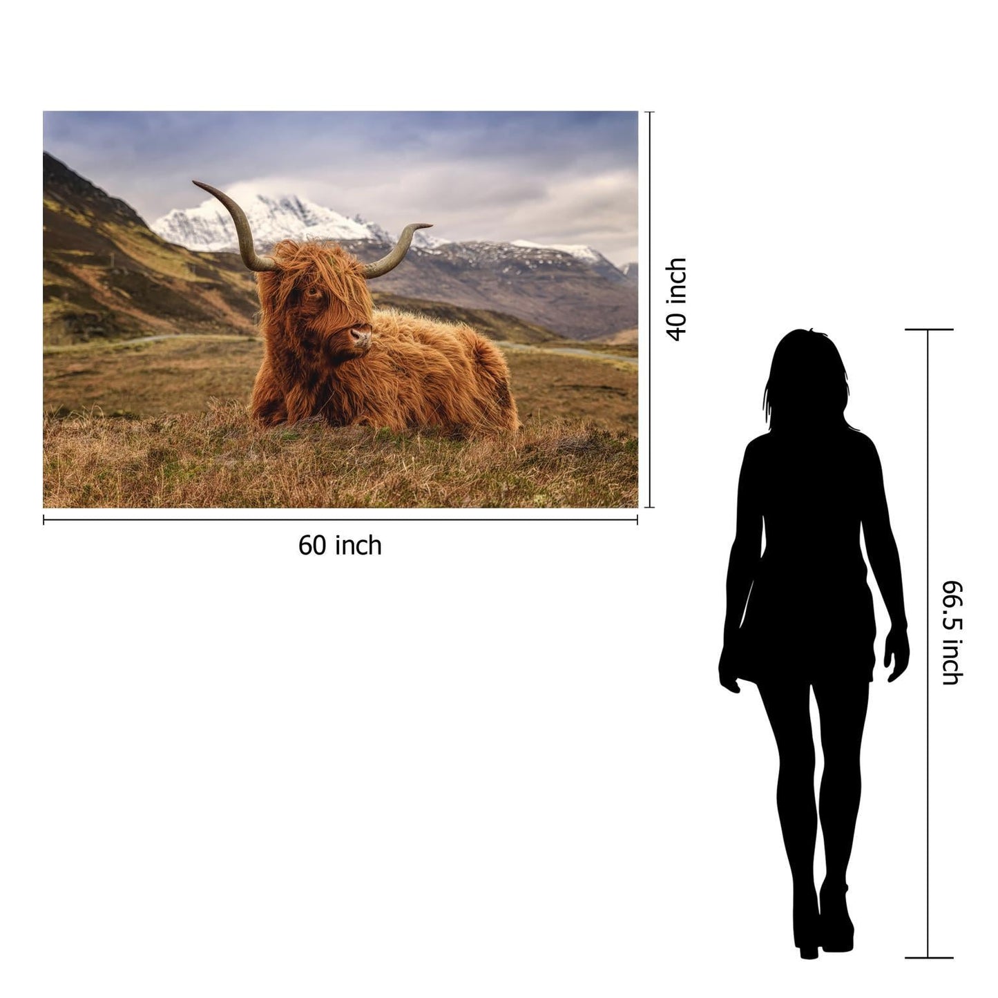 Tempered Glass With Foil - Highland Cow 2 - Light Brown Classy Art