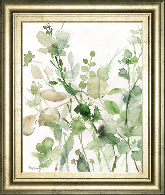 Sage Garden II By Carol Robinson - Framed Print Wall Art - Green Classy Art