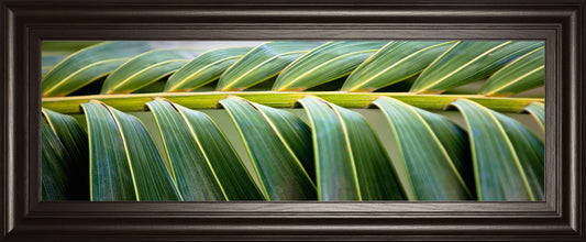 Palma I By Susan Bryant - Framed Print Wall Art - Green Classy Art