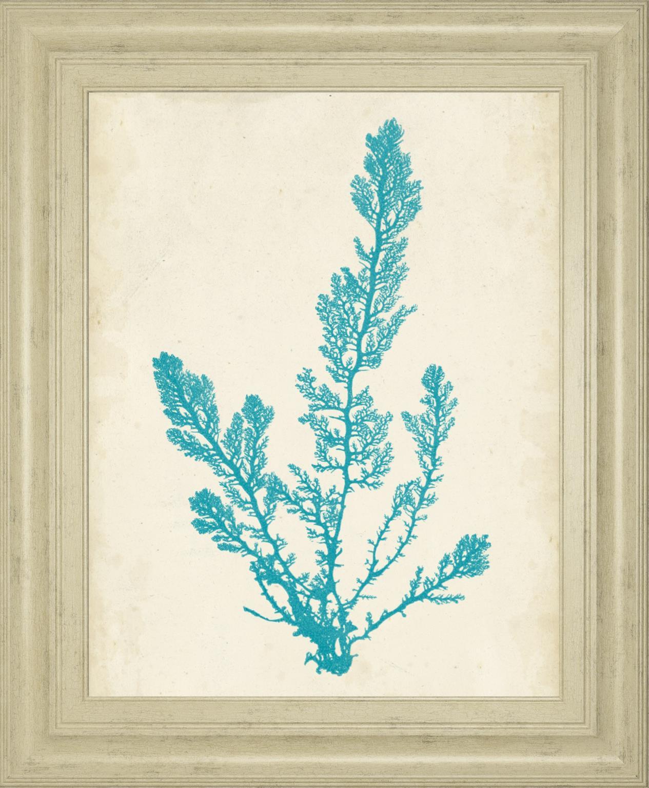 22x26 Aquamarine Seaweed VI By Vision Studio - Light Blue Classy Art