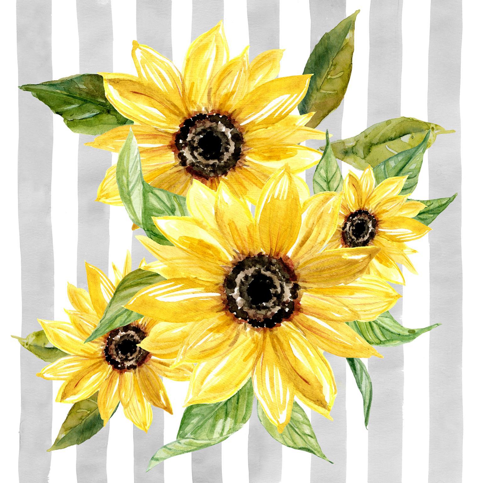 Framed Small - Sunflower Array I By Carol Robinson - Yellow Classy Art