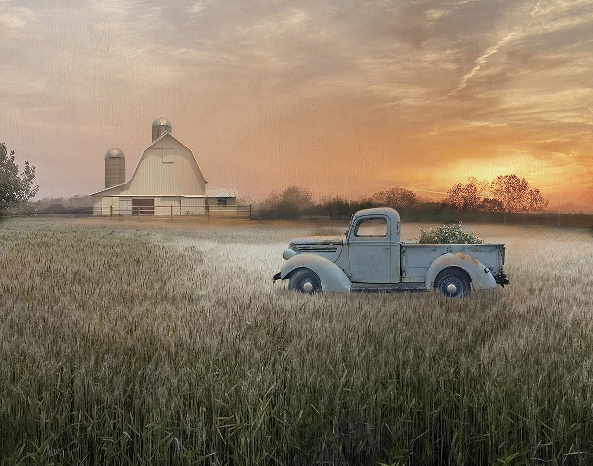 Evening Farm By Nan (Framed) - Orange Classy Art