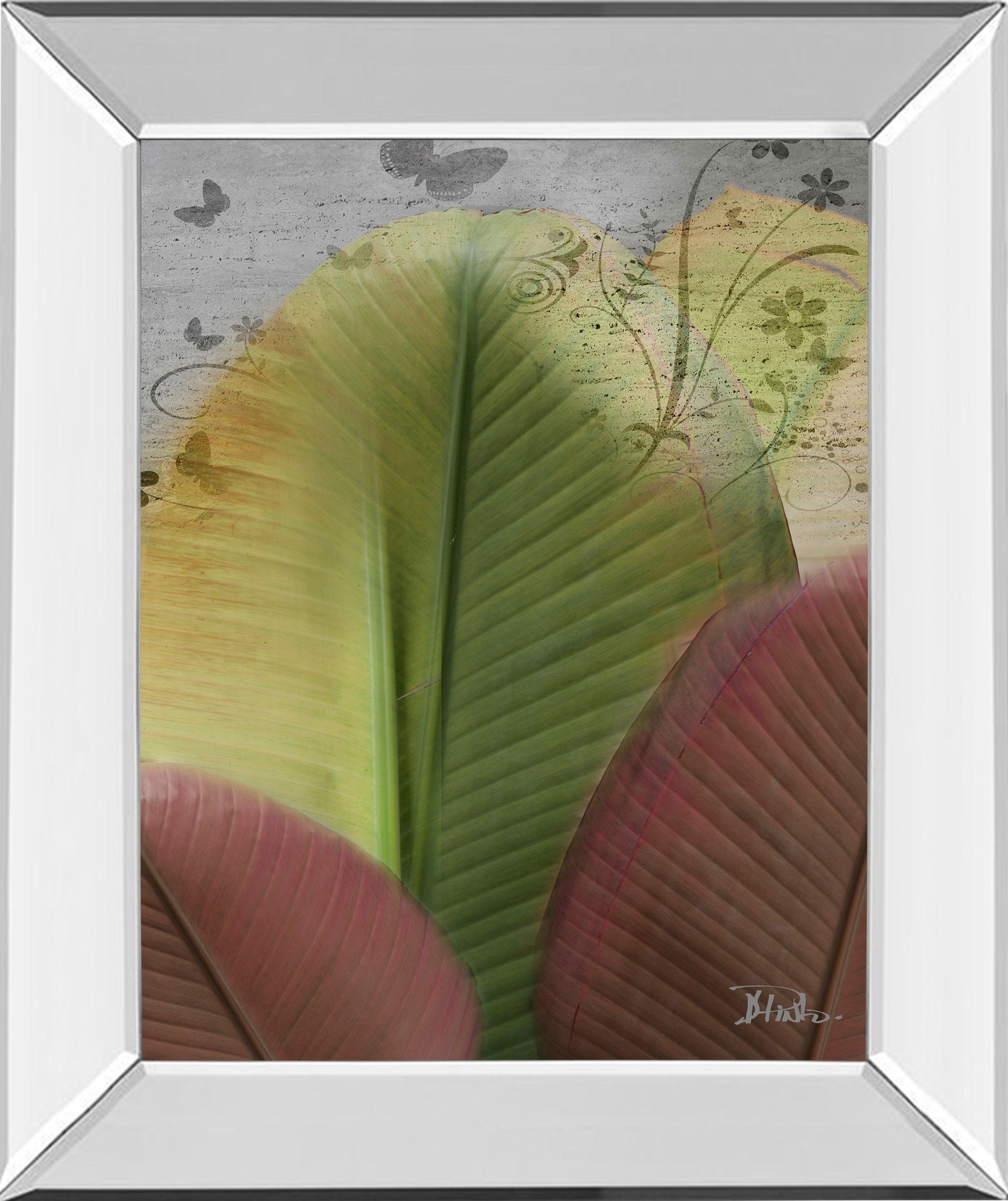 Butterfly Palm I By Patricia Pinto - Mirror Framed Print Wall Art - Green Classy Art