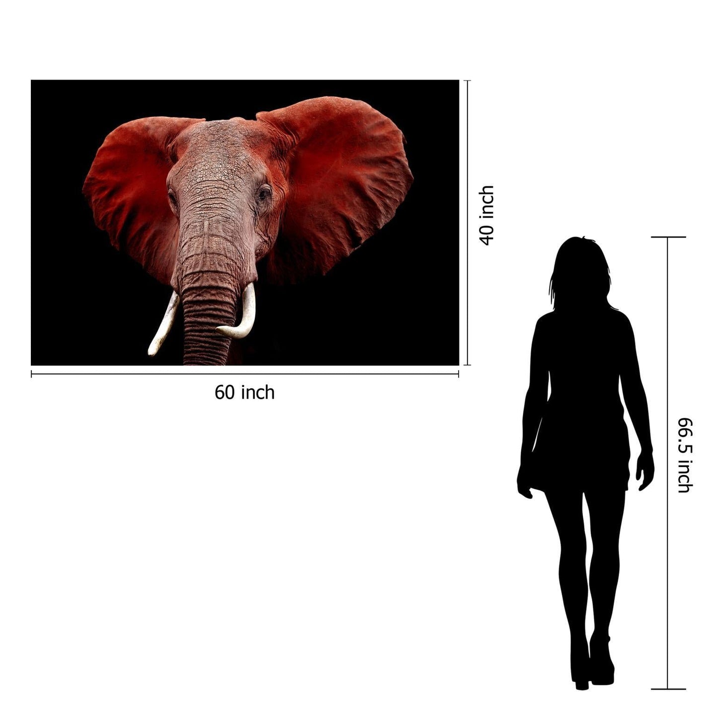 Tempered Glass Plus Foil Elephant - Red Classy Art