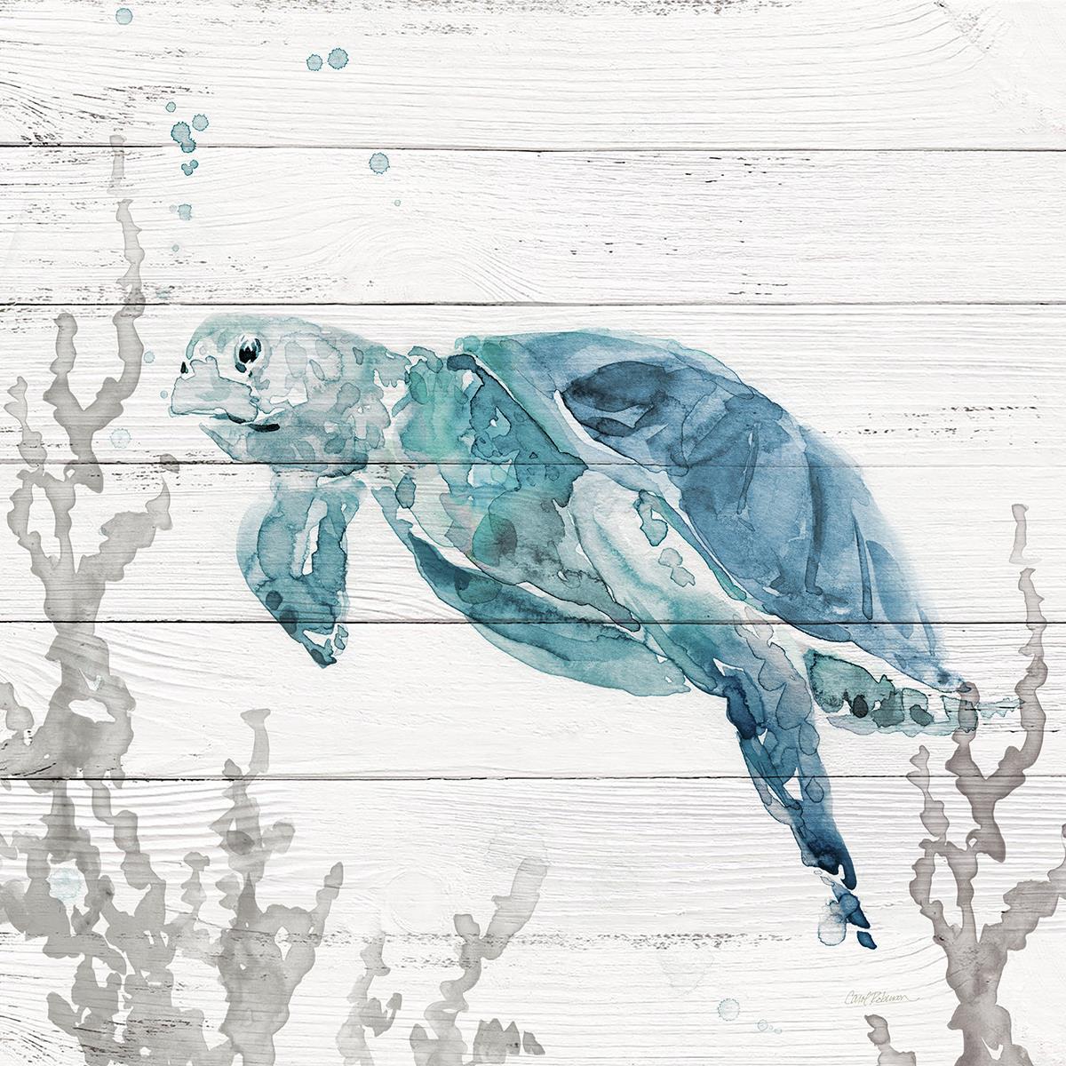 Aqua Turtle II By Carol Robinson - Light Blue Classy Art