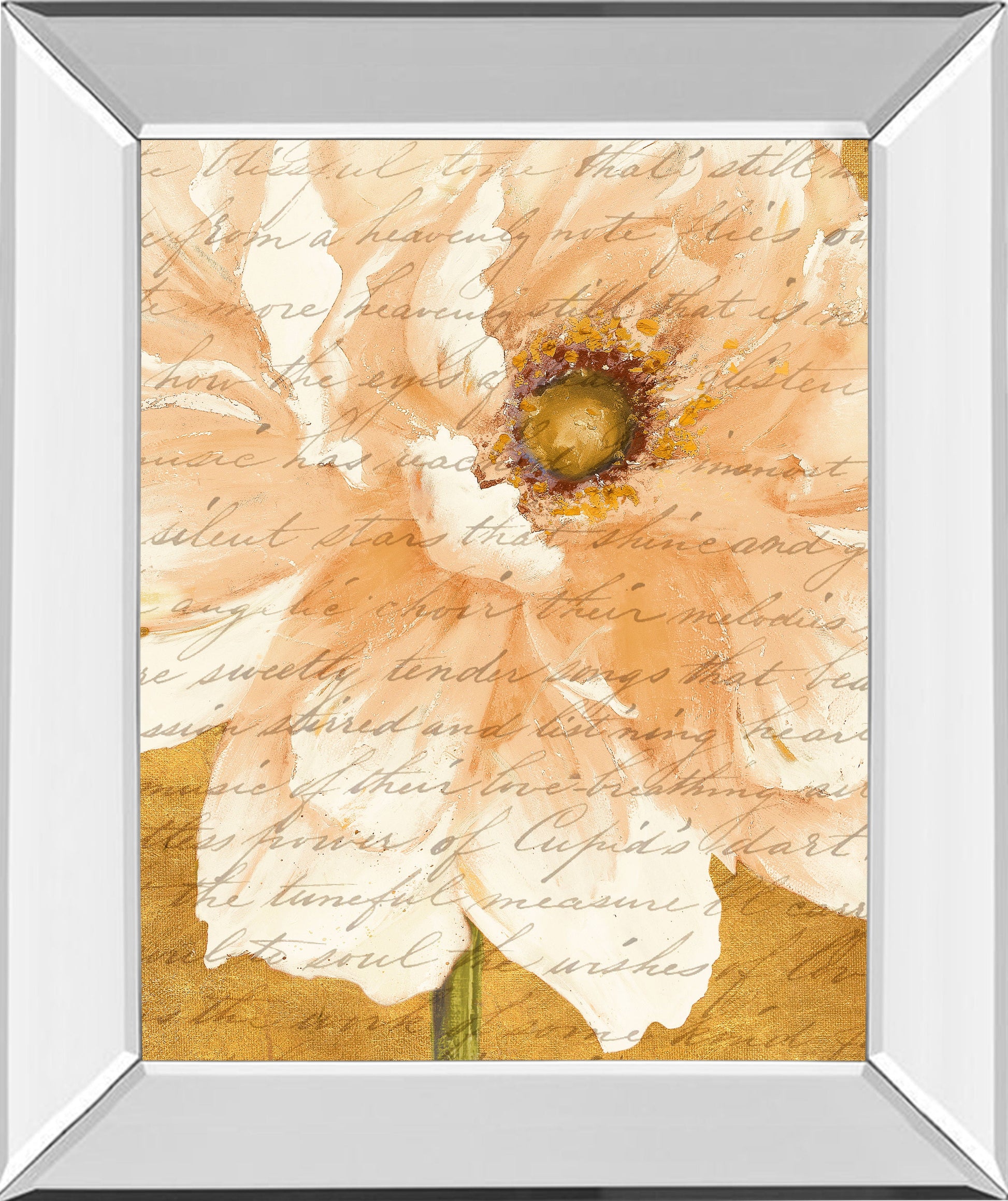 Beautiful Cream Peonies Script Il By Patricia Pinto - Mirror Framed Print Wall Art - Gold Classy Art