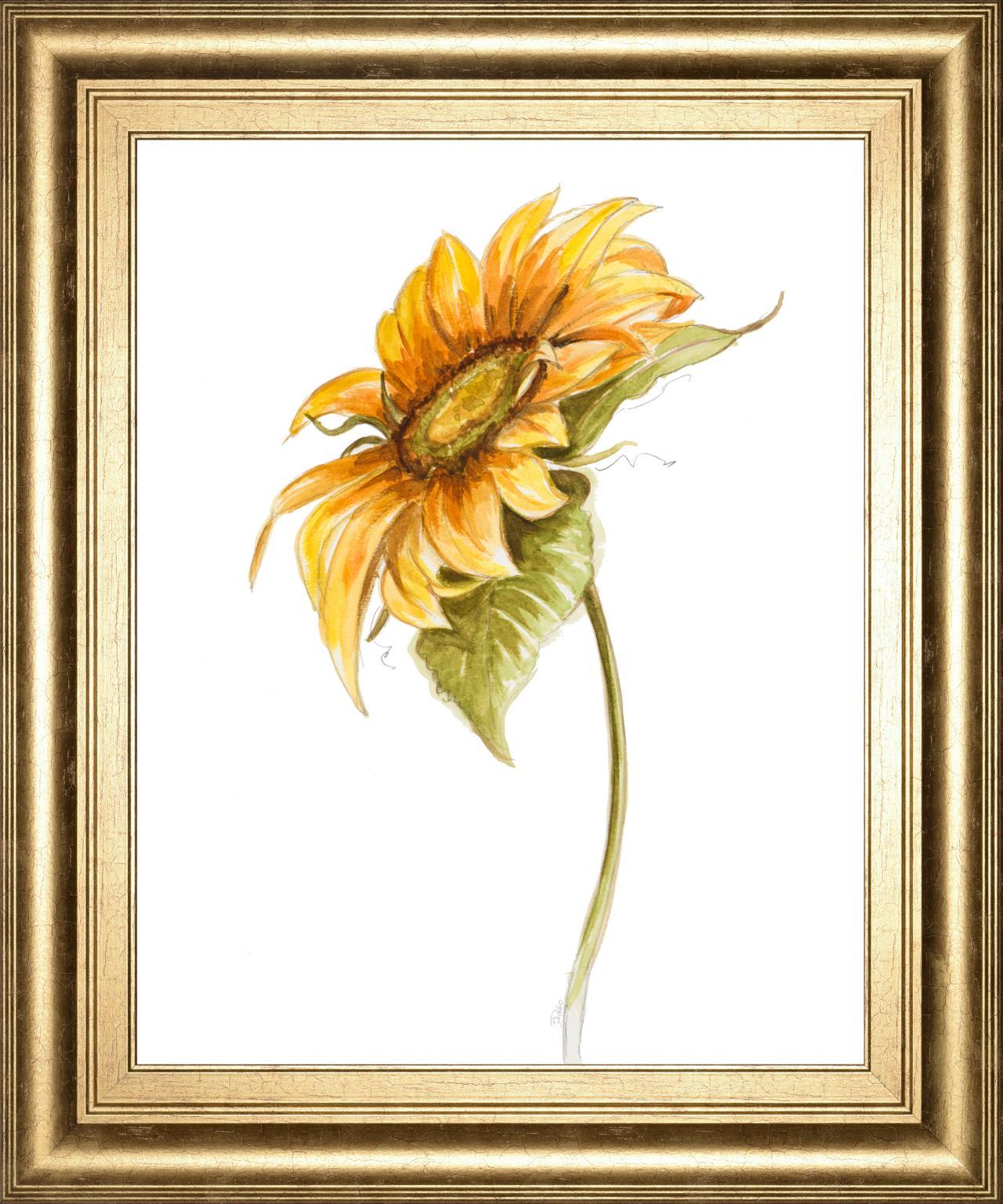 22x26 Harvest Gold Sunflower I By PatriciaPinto - Yellow Classy Art