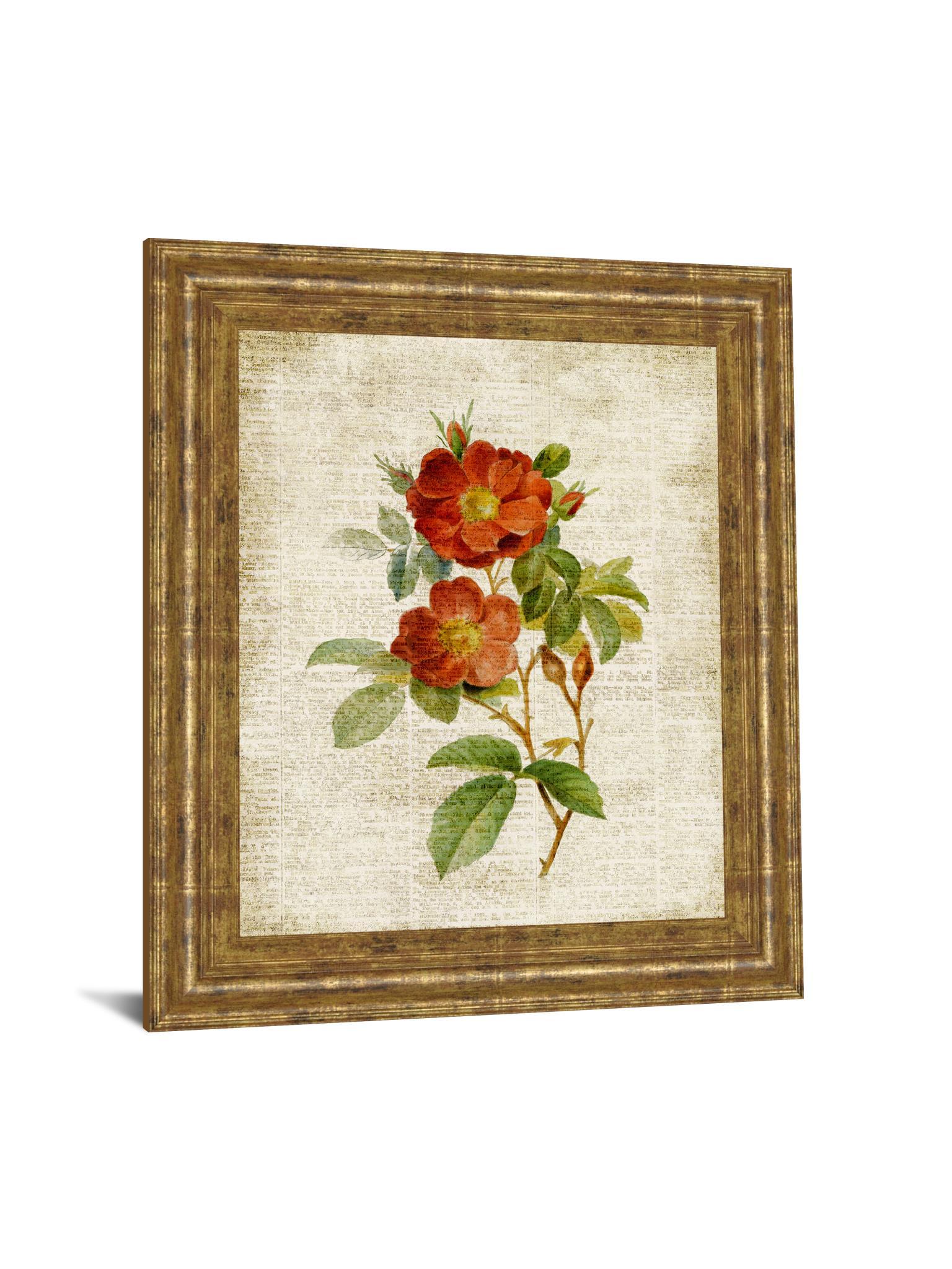 Roses On Newsprint Il By Lanie Loreth - Framed Print Wall Art - Beige Classy Art