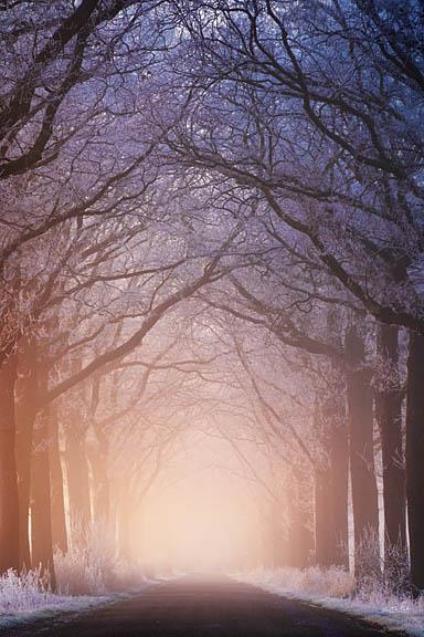 Warm And Cold By Martin Podt - Blue Classy Art