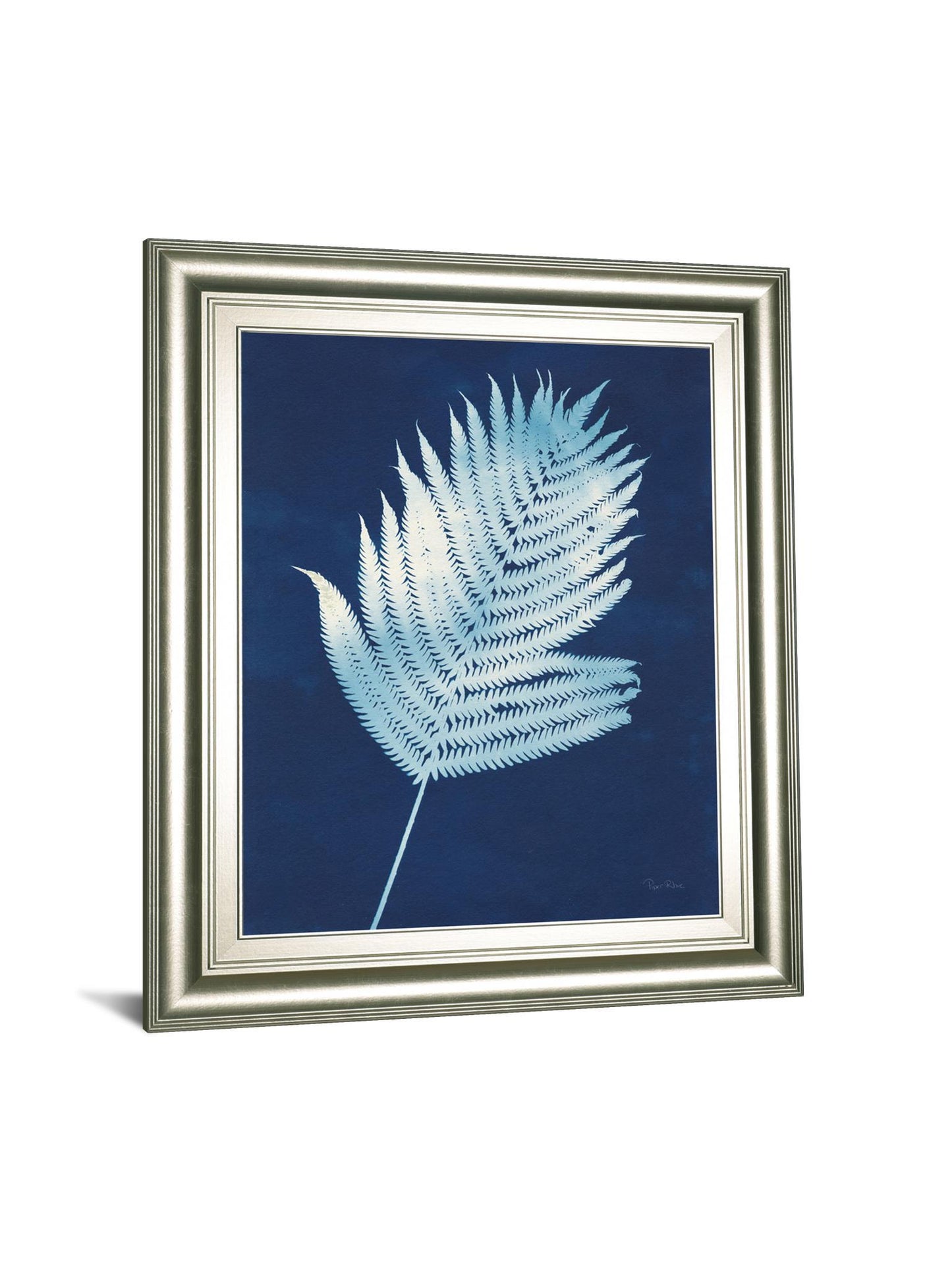 Nature By The Lake Ferns III By Piper Rhue - Framed Print Wall Art - Blue Classy Art