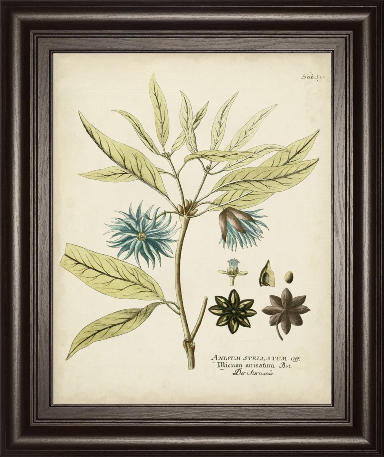 22x26 Eloquent Botanical III By Vision Studio - Green Classy Art