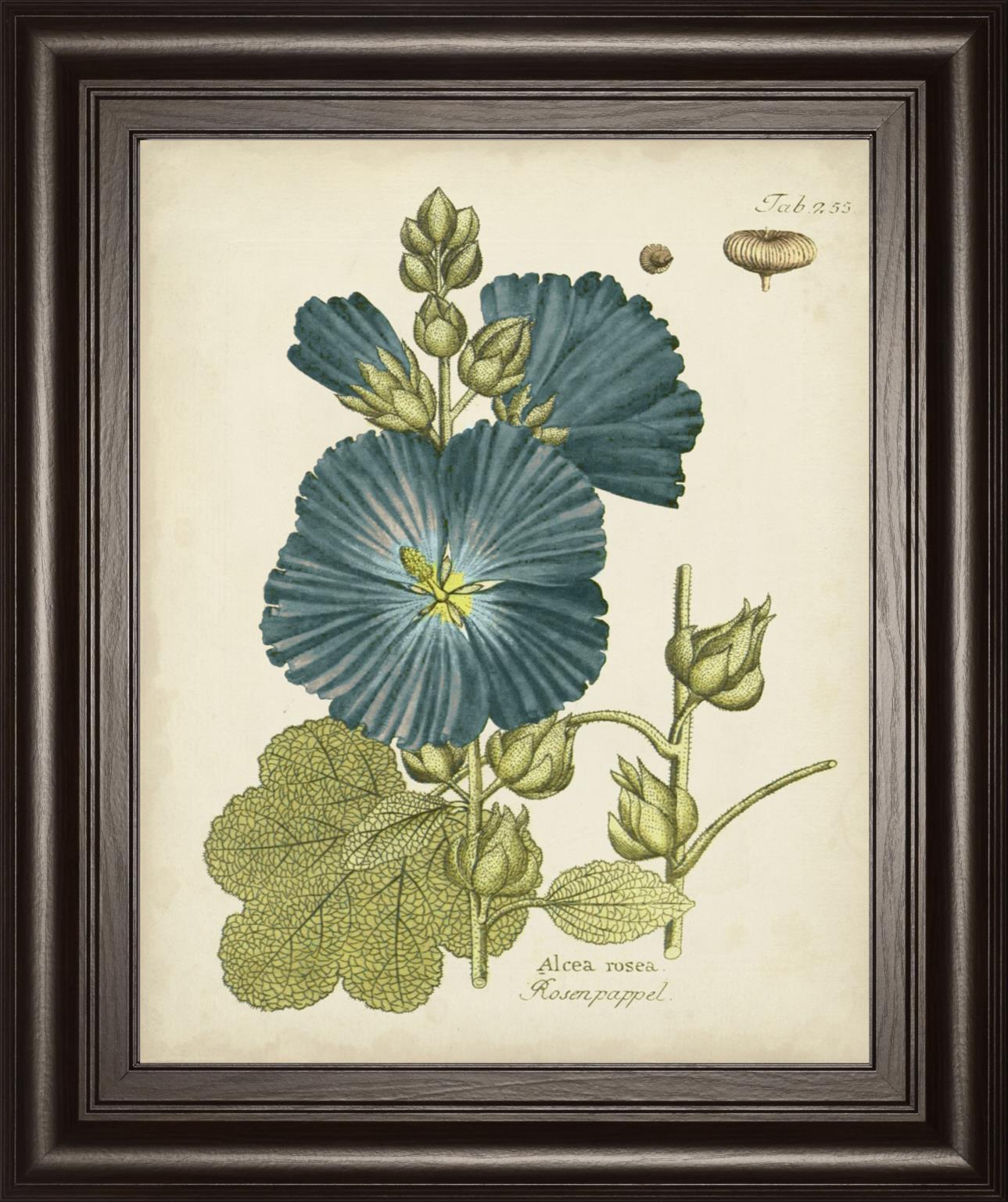 22x26 Eloquent Botanical IV By Vision Studio - Blue Classy Art