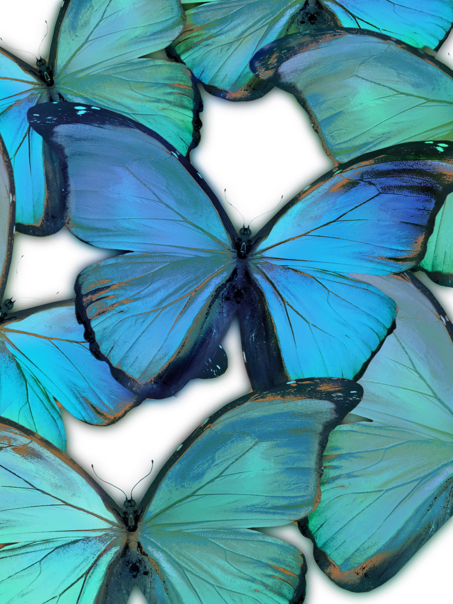 Floating Tempered Glass With Foil Oh These Butterflies - Blue Classy Art