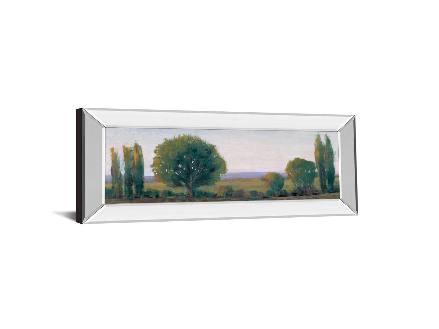 Panoramic Treeline I By Tim Otoole - Mirror Framed Print Wall Art - Green Classy Art