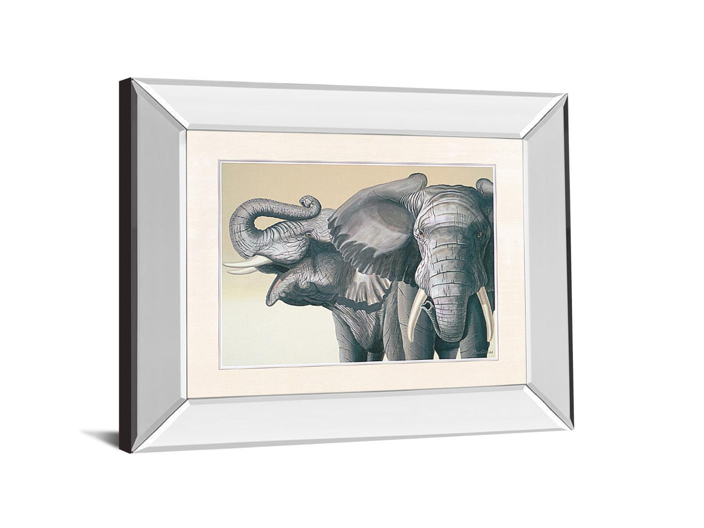 Elephant By Peter Moustakas - Mirror Framed Print Wall Art - Dark Gray Classy Art