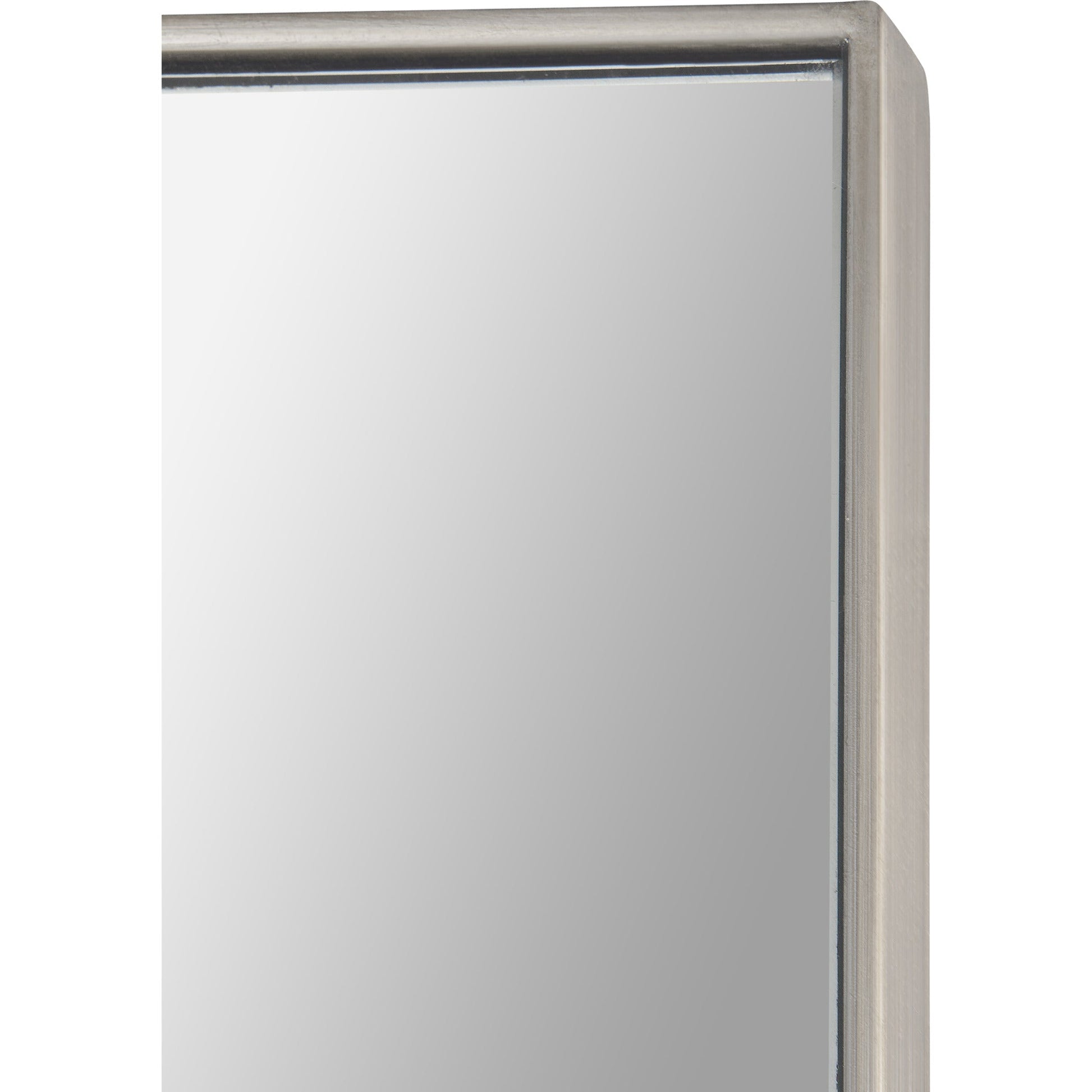 RenWil Lupin Rectangle Mirror NDD219M009 RenWil