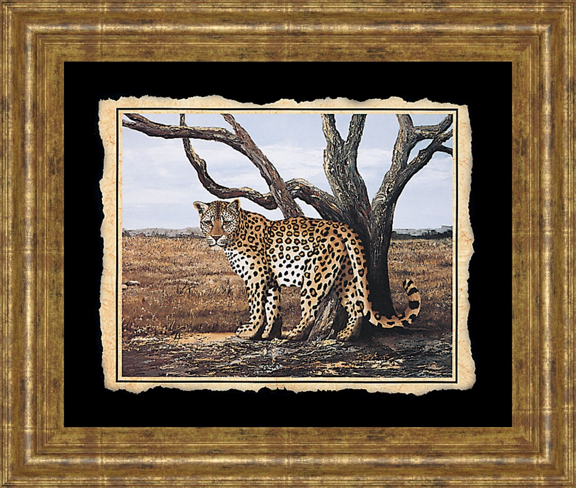 Cheetah - Framed Print Wall Art - Beige Classy Art