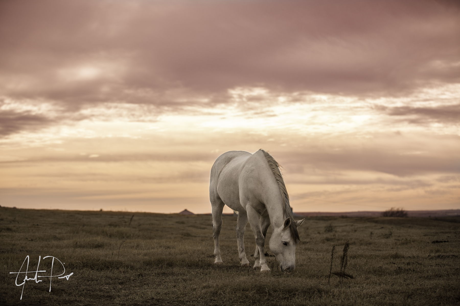 Pink Skies By Justin Pius - Pink Classy Art