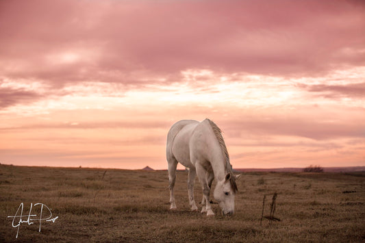 Pink Skies By Justin Pius - Pink Classy Art