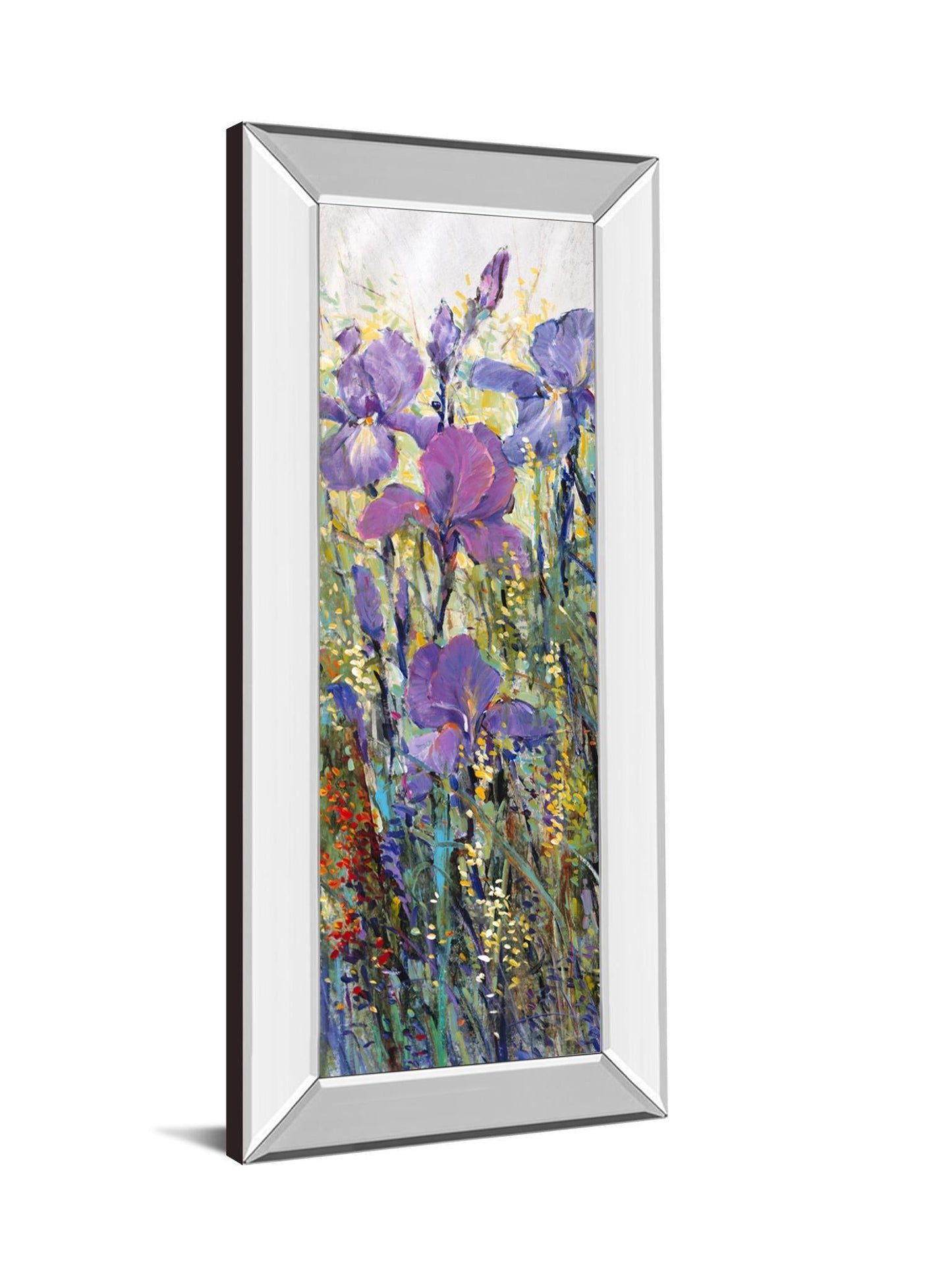 IIris Field I By Tim Otoole - Mirror Framed Print Wall Art - Purple Classy Art