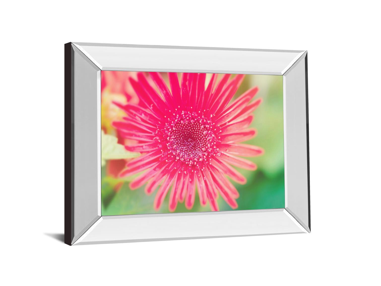 Pink Gerbera By Susan Bryant - Mirror Framed Print Wall Art - Pink Classy Art